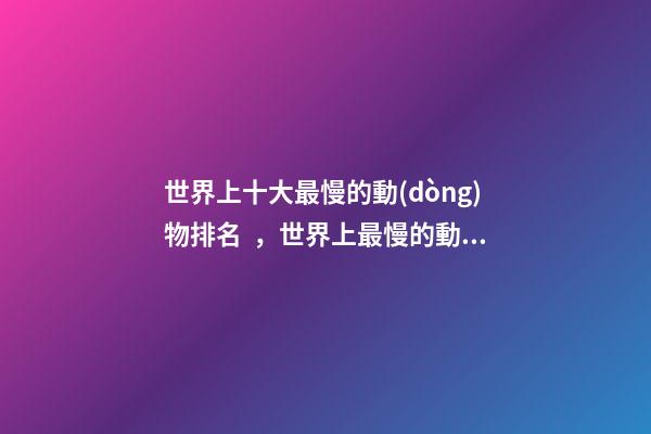 世界上十大最慢的動(dòng)物排名，世界上最慢的動(dòng)物-第1張-觀點(diǎn)-玄機(jī)派